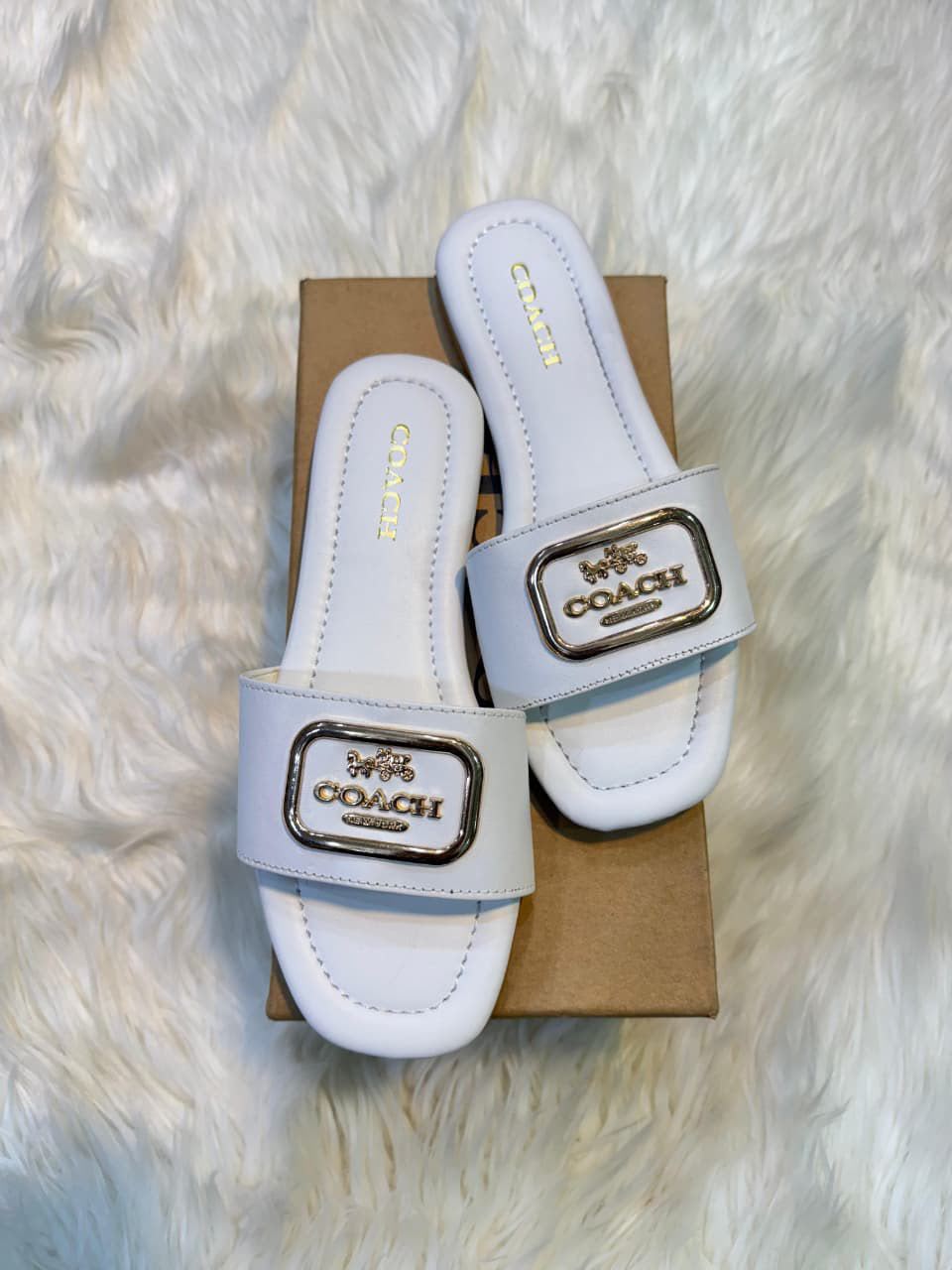 Classy Coach Flats