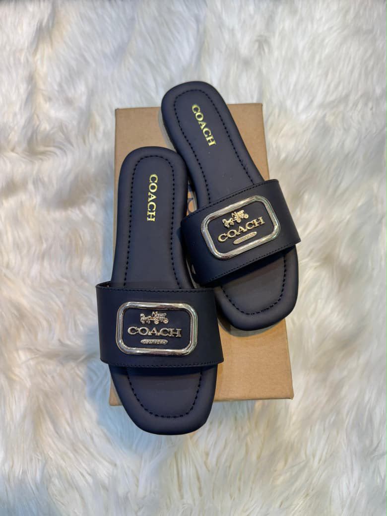 Classy Coach Flats